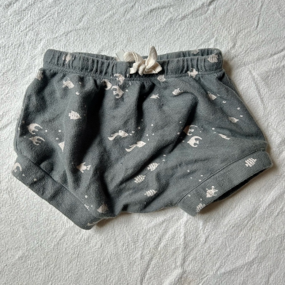 Rylee + Cru Green Shorts
